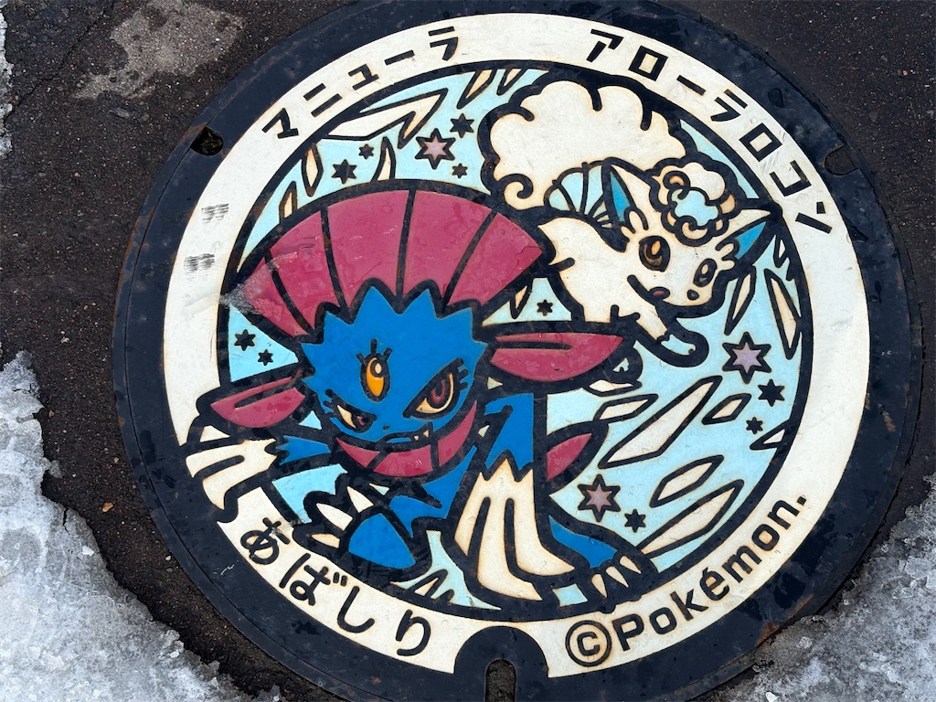 f:id:blacksnivy:20250216212042j:image
