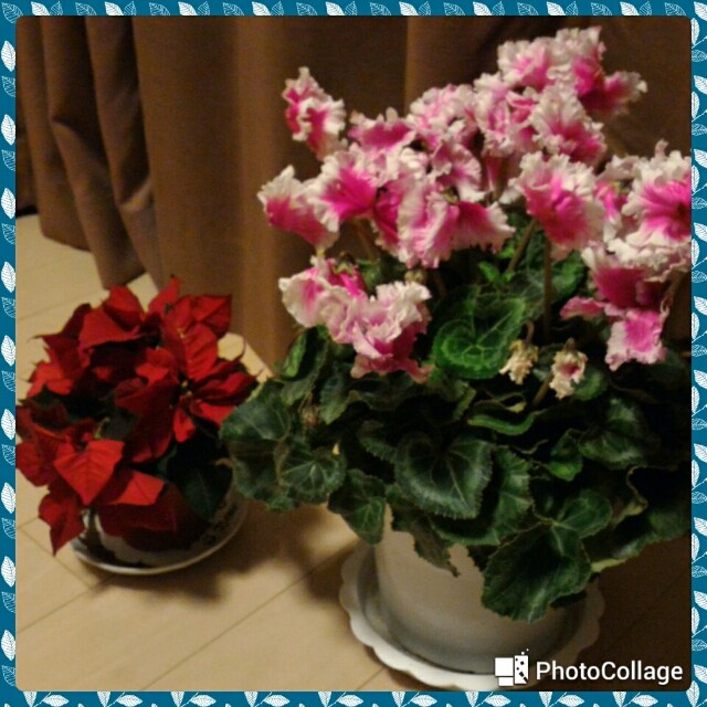 f:id:blacksusan:20171216221820j:plain f:id:blacksusan:20171216221820j:plain