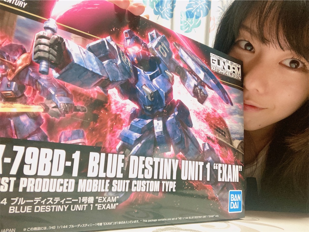 失敗とか ガンプラあるある ガンプラ女子の素組 スミ入れレビュー