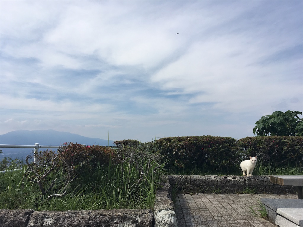 f:id:bladebreakjohn:20180623215112j:image