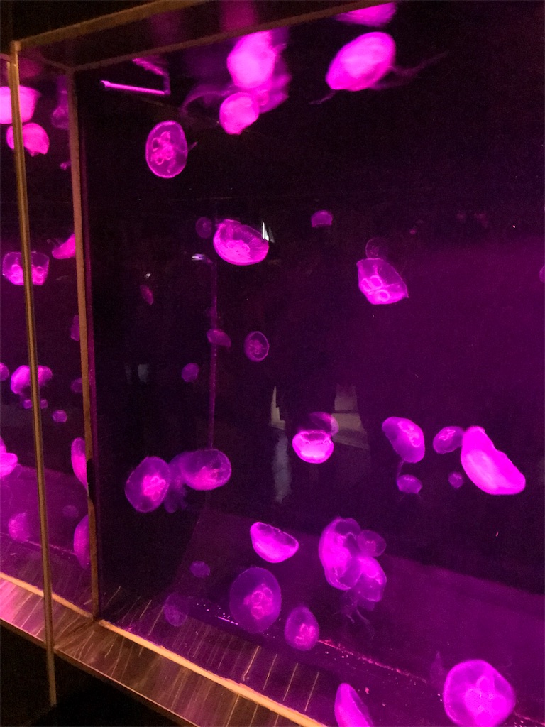 f:id:bladebreakjohn:20180808000107j:image f:id:bladebreakjohn:20180808000107j:image