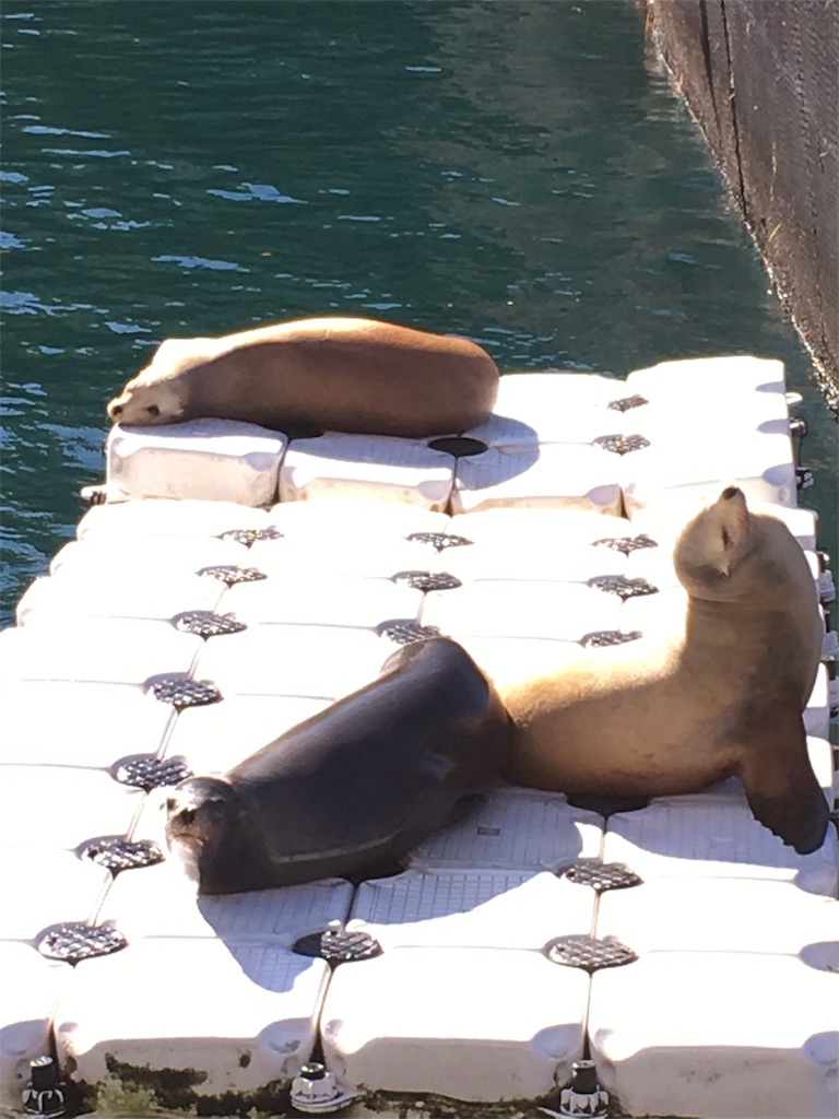 f:id:bladebreakjohn:20180808000126j:image f:id:bladebreakjohn:20180808000126j:image