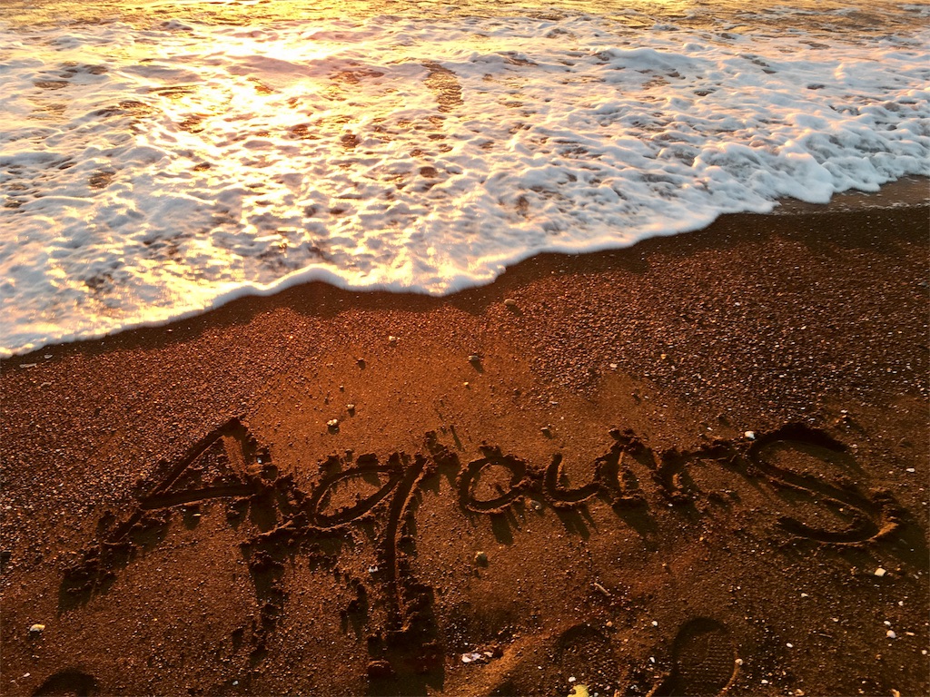 f:id:bladebreakjohn:20180808000543j:image f:id:bladebreakjohn:20180808000543j:image