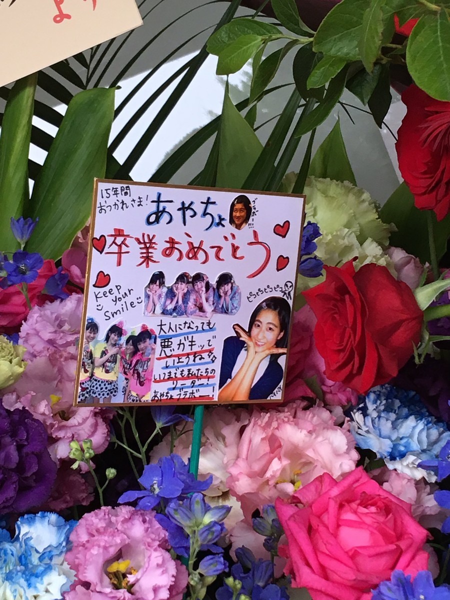 f:id:blamagigirl:20190620205206j:plain