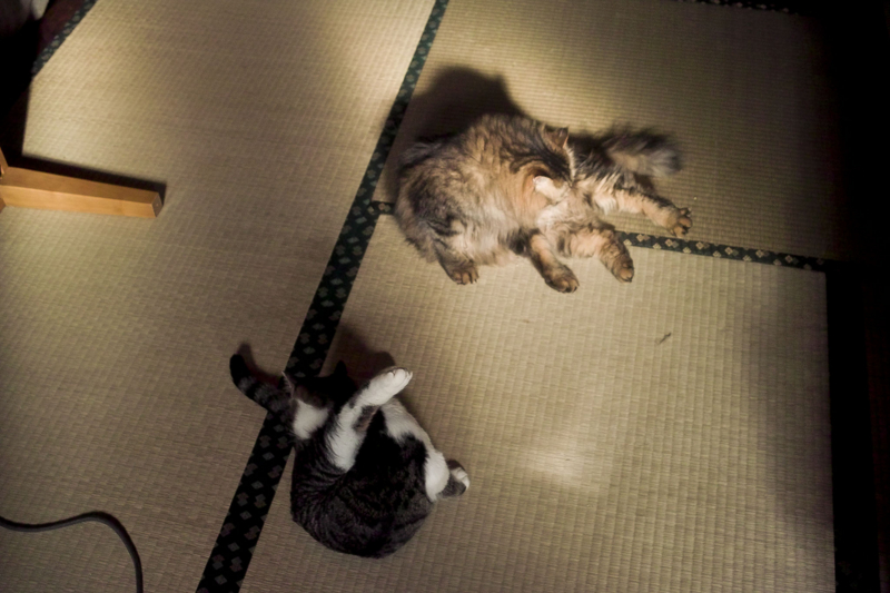 f:id:blanClass:20091215132450j:image