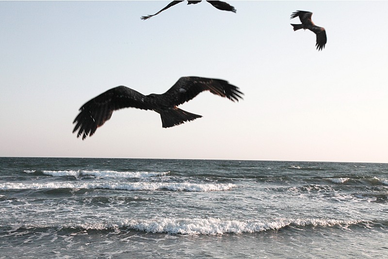 f:id:blanClass:20110406234238j:image