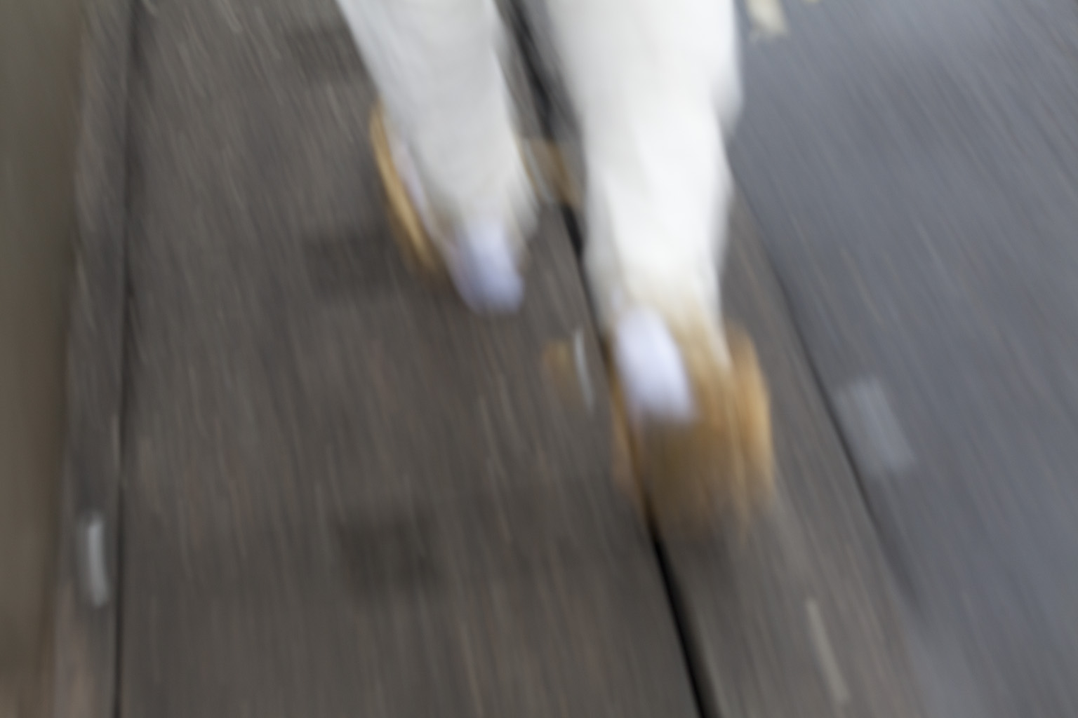 f:id:blanClass:20120211000921j:image