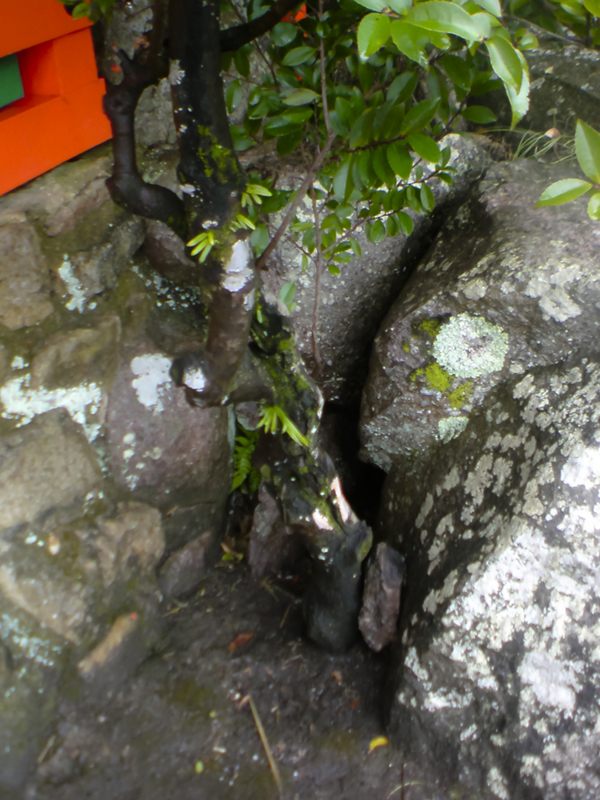 f:id:blanClass:20120305180836j:image