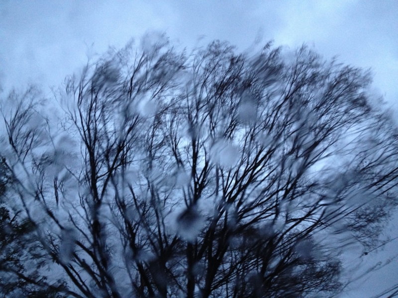 f:id:blanClass:20120404131428j:image