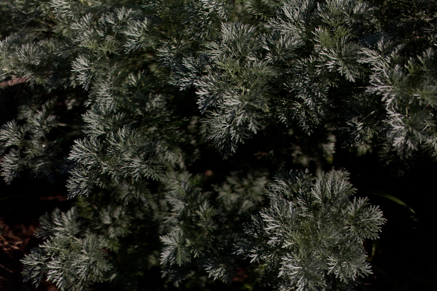 f:id:blanClass:20120530232259j:image