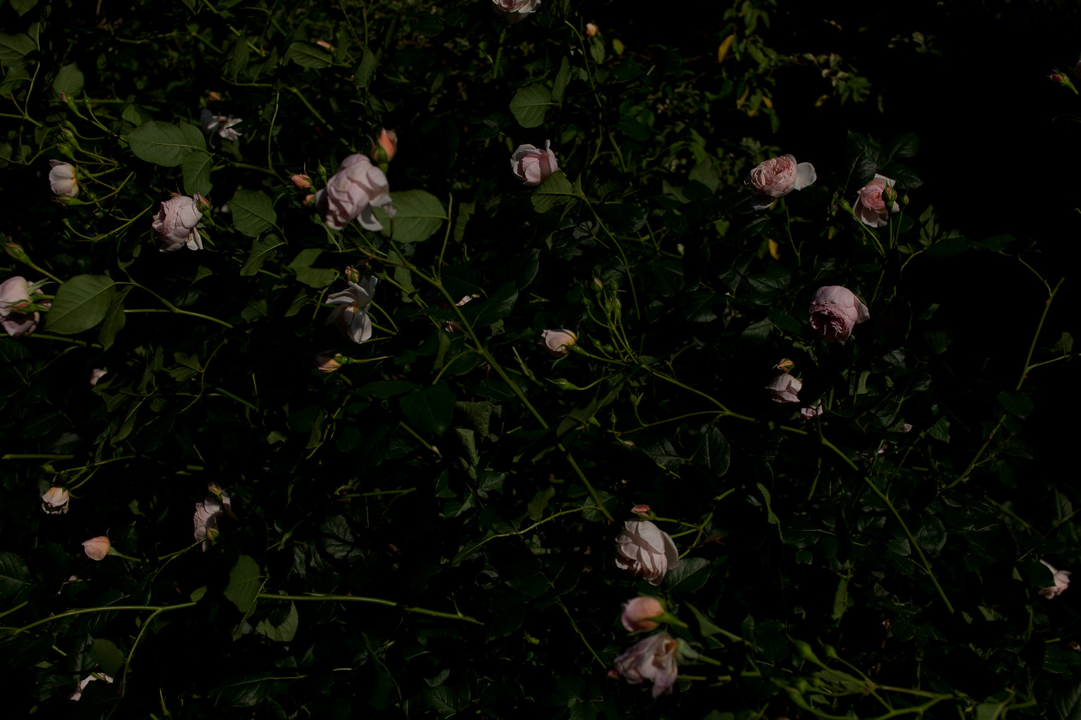 f:id:blanClass:20120530233134j:image