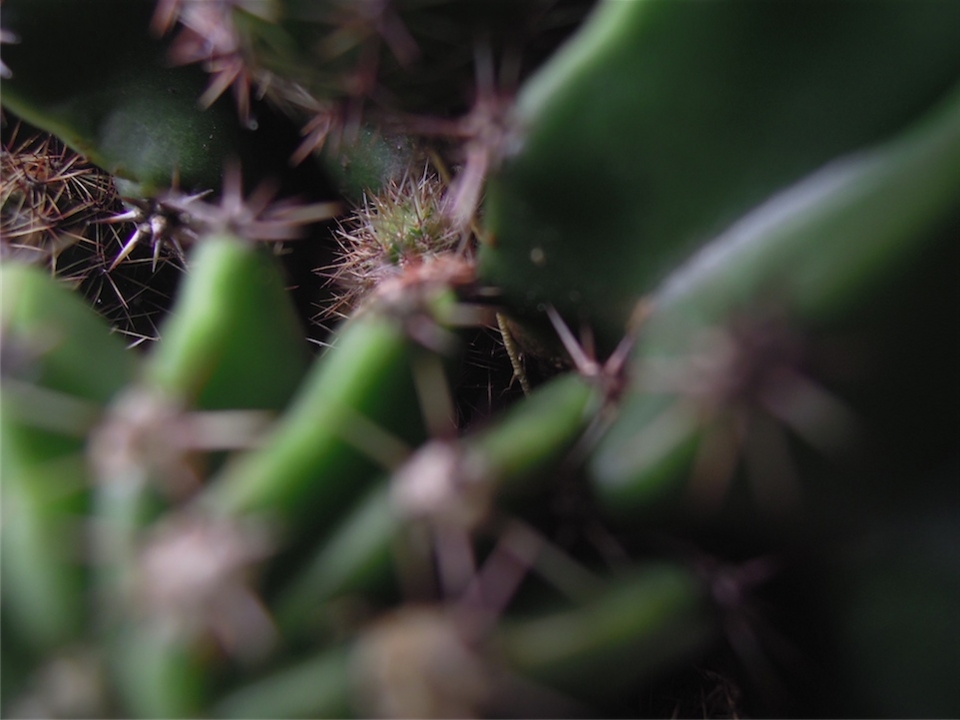 f:id:blanClass:20120822222846j:image