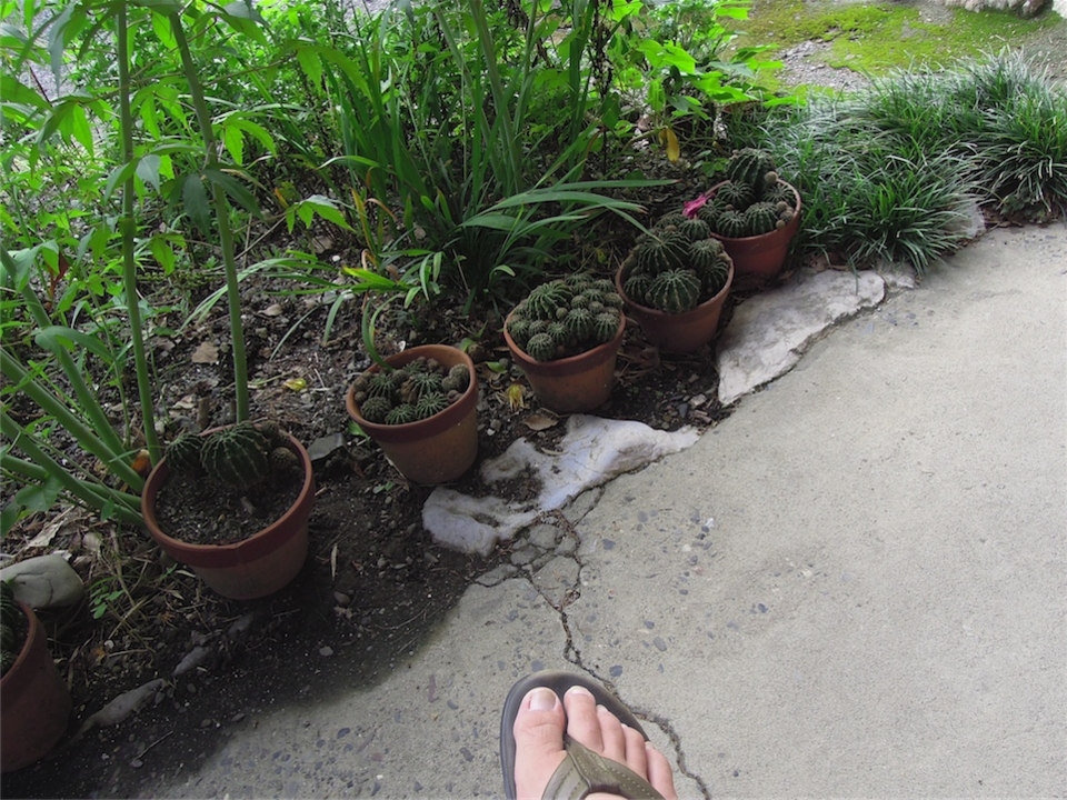 f:id:blanClass:20120822222848j:image