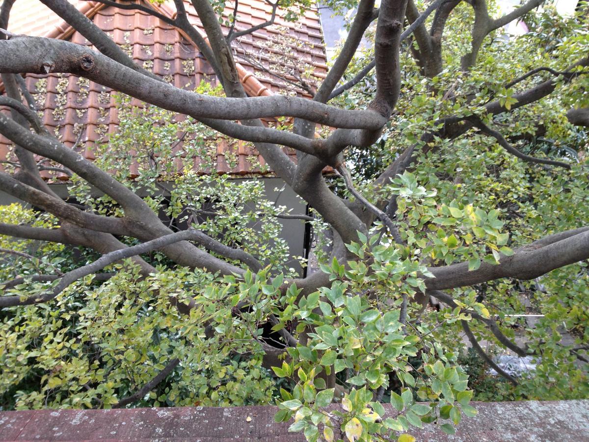 f:id:blanClass:20121201160605j:image