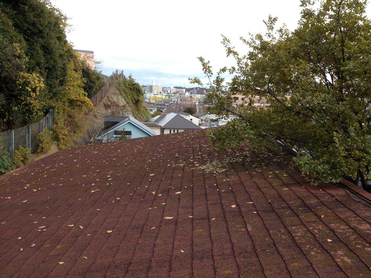 f:id:blanClass:20121201160606j:image