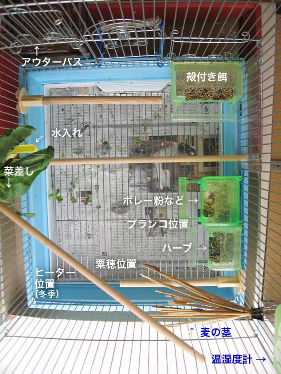f:id:blanccasse:20060624144710j:image:h300