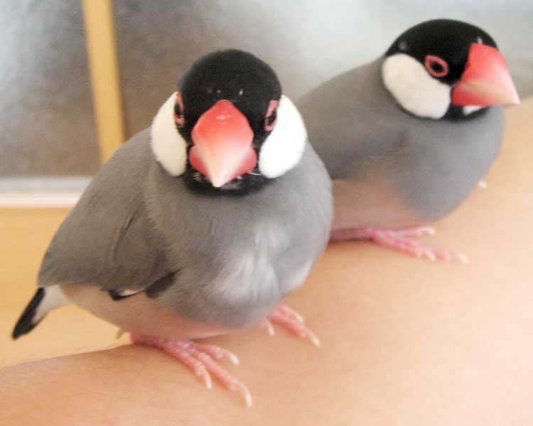 f:id:blanccasse:20060831165508j:image:w300