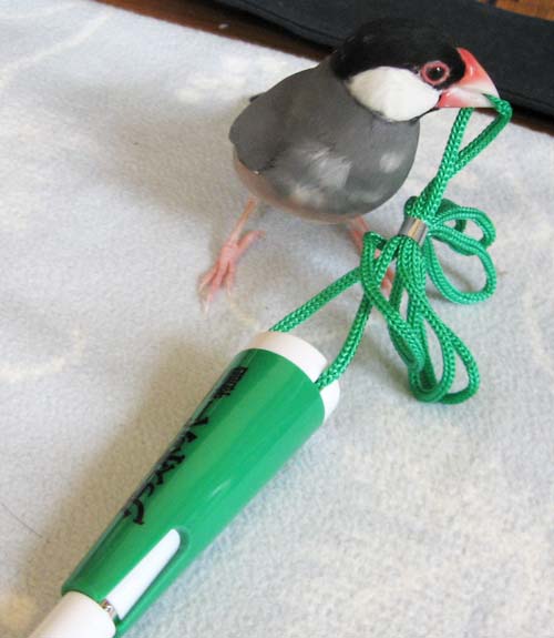 f:id:blanccasse:20070112160103j:image:w200