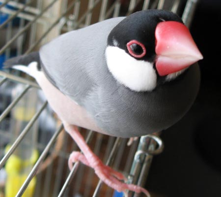 なぁにー？（レティ）