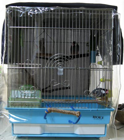 f:id:blanccasse:20070717161759j:image:w250