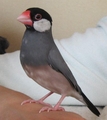 20080810185218
