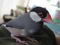 20080810191741