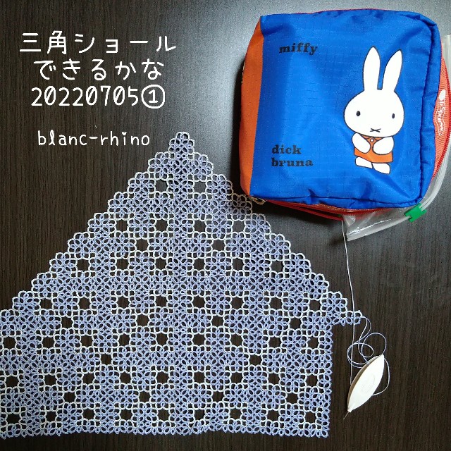 f:id:blancrhino579:20220707011637j:image