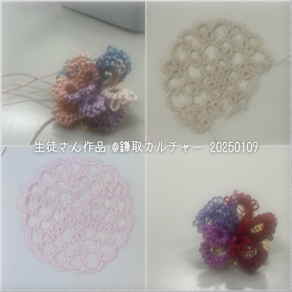 f:id:blancrhino579:20250113181923p:image