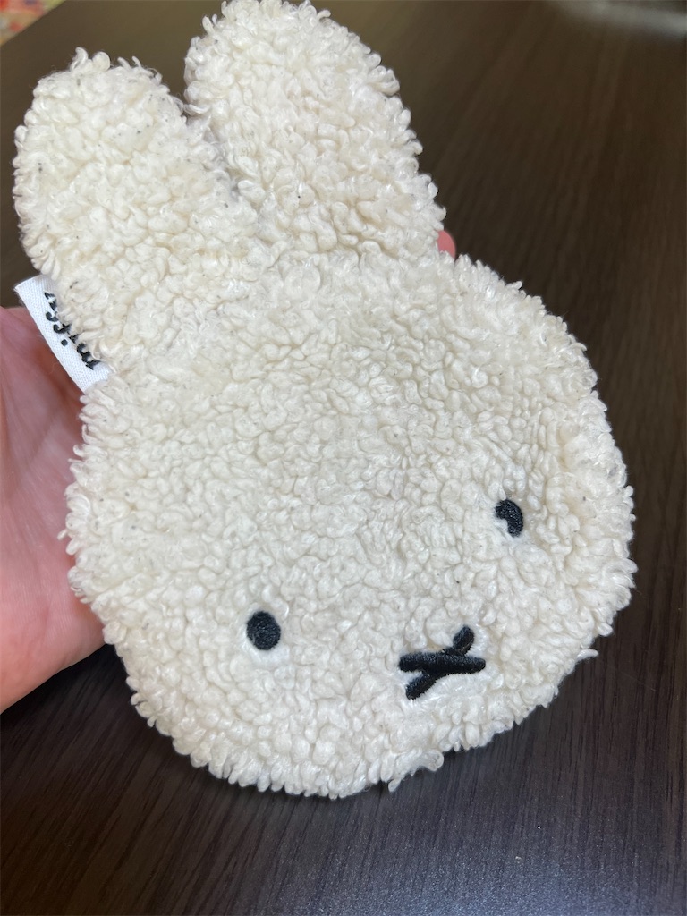 f:id:blancrhino579:20250304124755j:image