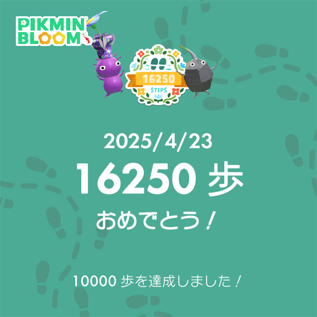 f:id:blancrhino579:20250423235006p:image