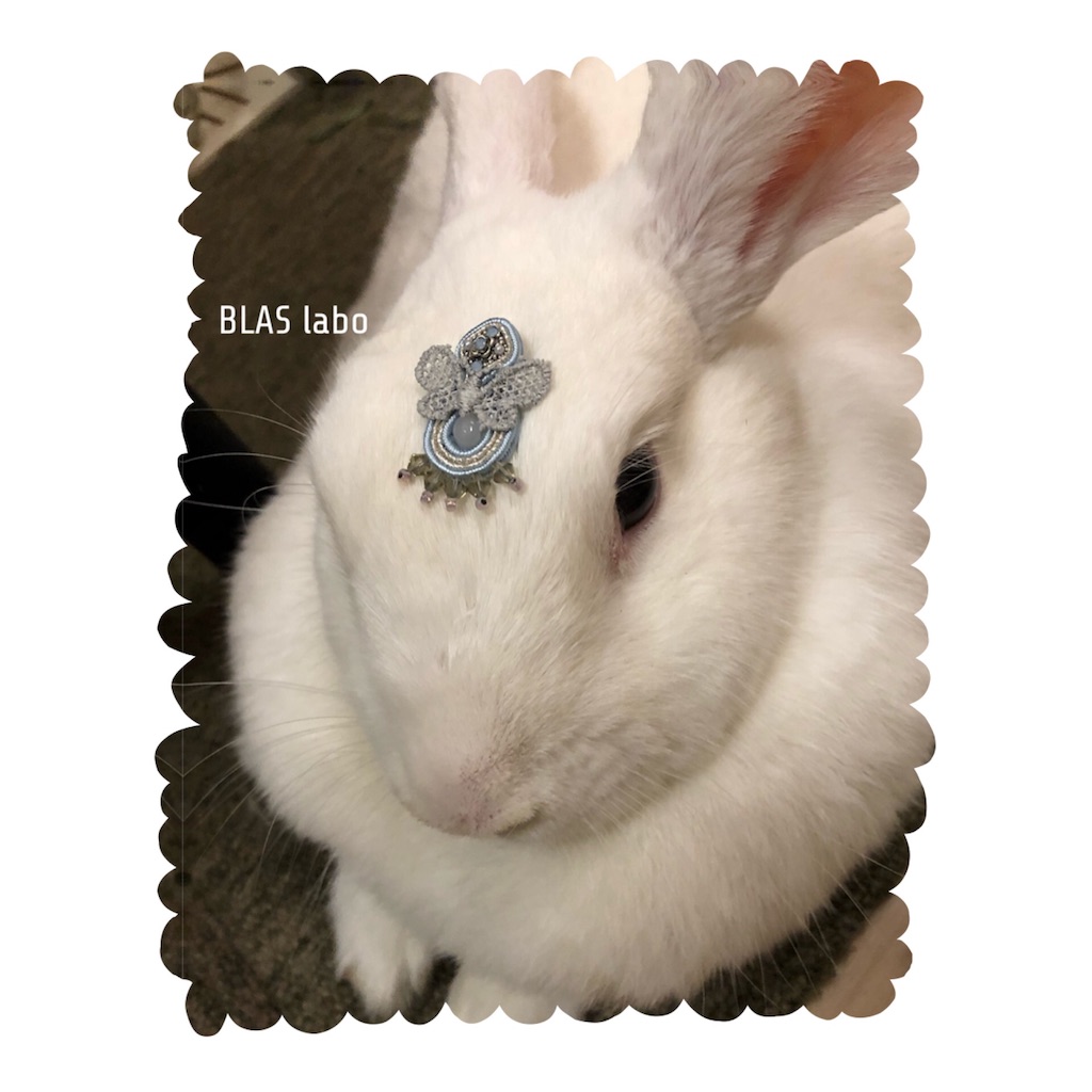 f:id:blaslabo:20180922013826j:image f:id:blaslabo:20180922013826j:image