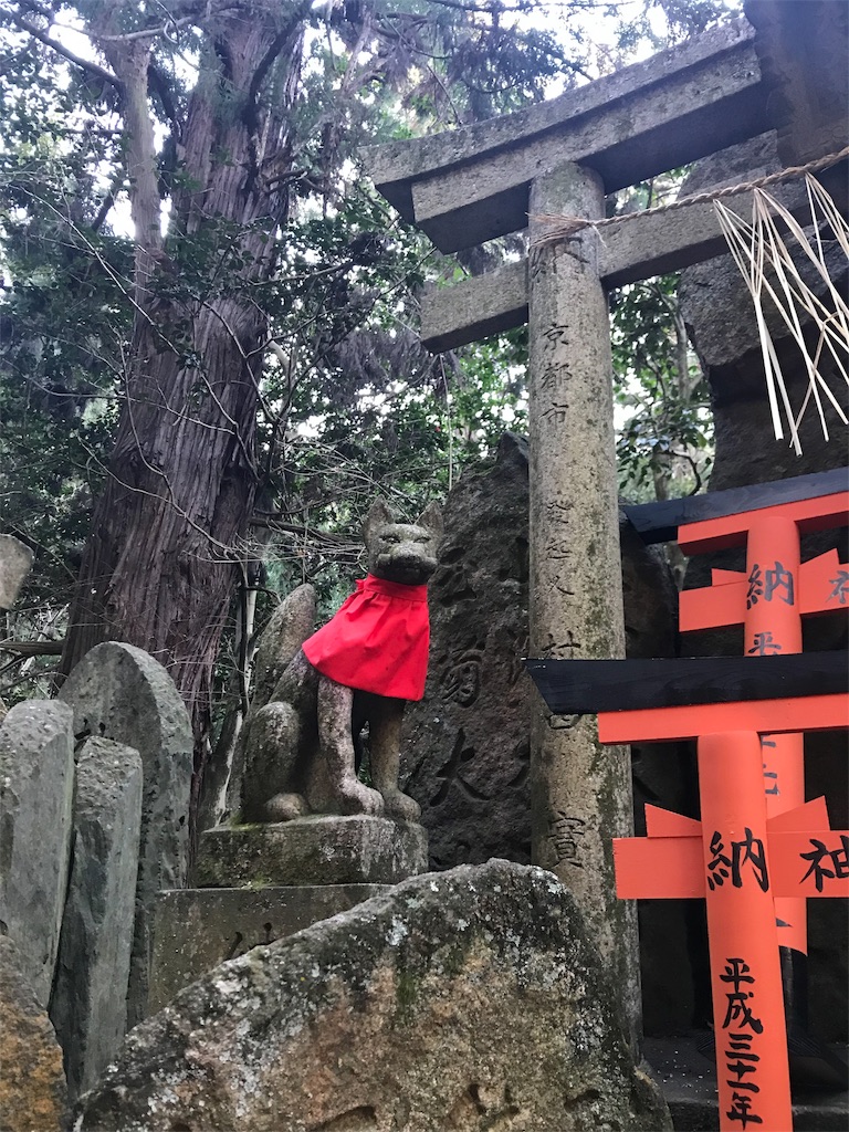 f:id:blb0175:20190118131632j:image