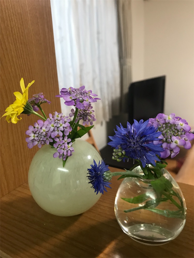 f:id:blb0175:20190615164854j:image