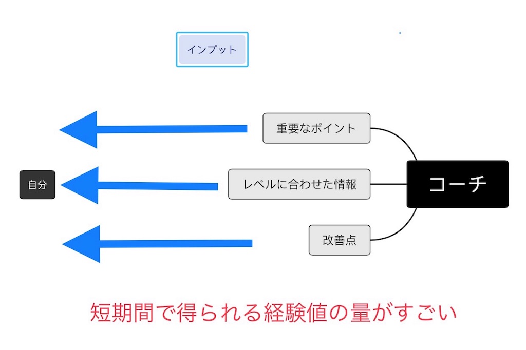 f:id:blendbody:20190204182200j:image