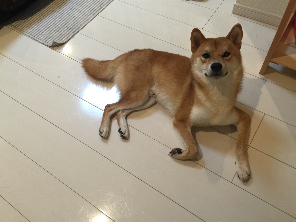 f:id:blendenglish:20161028124105j:image