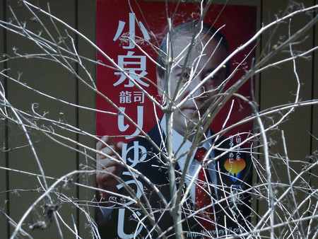 f:id:blepharisma:20080530231725j:image