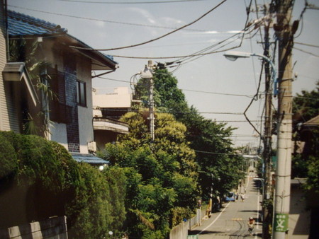 f:id:blepharisma:20080629000807j:image