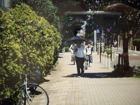 f:id:blepharisma:20080629000814j:image
