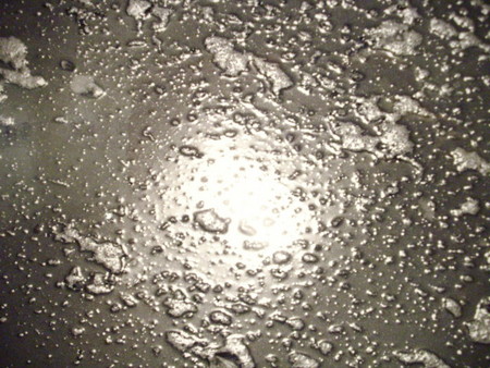 f:id:blepharisma:20080629001040j:image