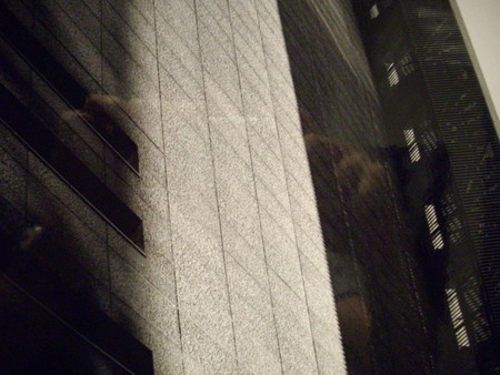 f:id:blepharisma:20080629001044j:image