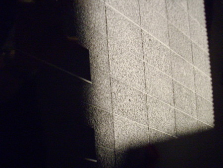 f:id:blepharisma:20080629001045j:image