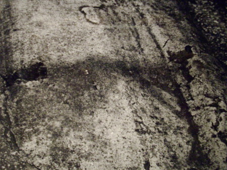 f:id:blepharisma:20080629001049j:image