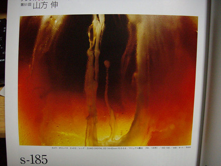 f:id:blepharisma:20080702000635j:image