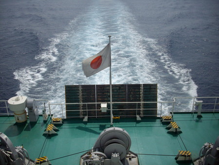 f:id:blepharisma:20080803210806j:image