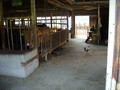 20080811182305