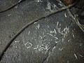 20080811182309