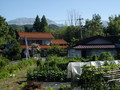 20080813192551