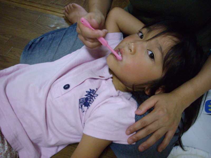 f:id:blepharisma:20080922094654j:image