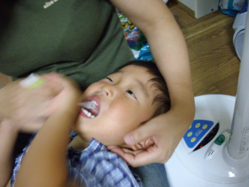 f:id:blepharisma:20080922094655j:image