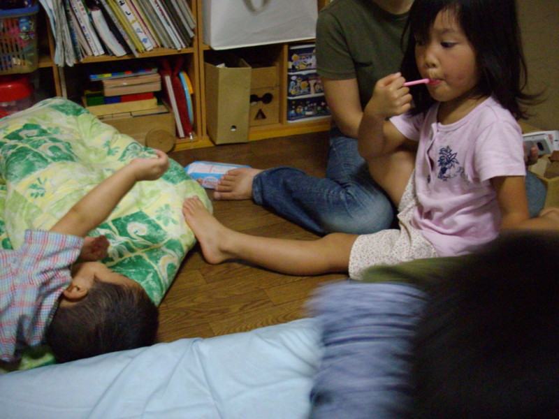 f:id:blepharisma:20080922094657j:image